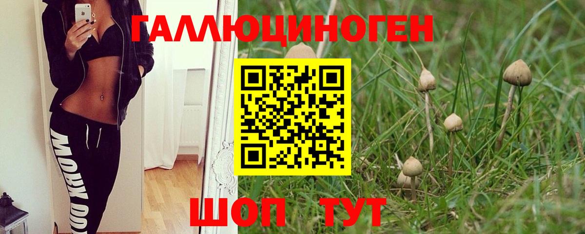 Псилоцибиновые грибы ЛСД  Вход с VPN  Долгопрудный  Псилоцибиновые грибы Psilocybe 